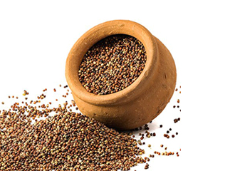 Brown Top (Andu Korralu) 500 gm