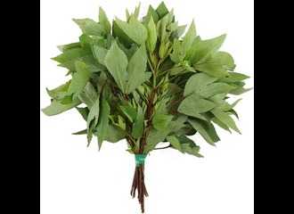Gongura Leaves 1 Kg